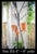 Macrame Plant Hanger | Boho Decor Modern Macrame Hanging Planter Multi Colors | 44 inches